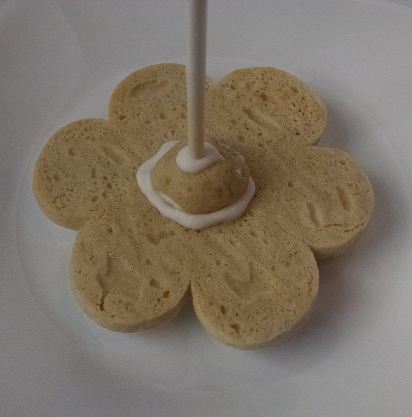 IMG_20160426_164946577