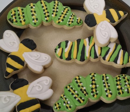 IMG_20160428_172933220