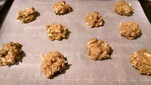 IMG_20161215_205006969_HDR